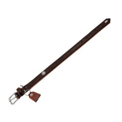 Hunter Halsband Cody -Honden Benodigdheden Winkel hunter halsband cody 116502 0500 none