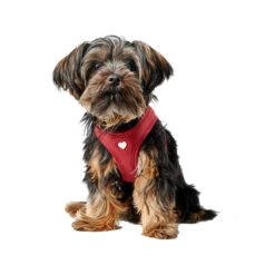 Hunter Harness Love -Honden Benodigdheden Winkel hunter harness love 223522 1000 none