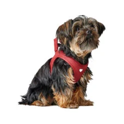 Hunter Harness Love -Honden Benodigdheden Winkel hunter harness love 223528 1000 none
