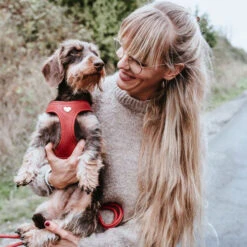 Hunter Harness Love -Honden Benodigdheden Winkel hunter harness love 223529 0500 none