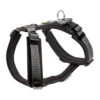 Hunter Harness Maldon