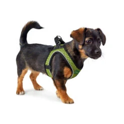 Hunter Hilo Comfort Harnas 37 Hunter Hilo Comfort Harnas -Honden Benodigdheden Winkel hunter hilo comfort harnas 134164 1000 none