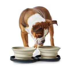 Hunter Siliconen Reiskommen In Tasje -Honden Benodigdheden Winkel hunter siliconen reiskommen in tasje 175747 2000 none