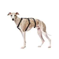 Hunter Vario Rapid Veiligheidsharnas -Honden Benodigdheden Winkel hunter vario rapid veiligheidsharnas zwart 169501 0500 none