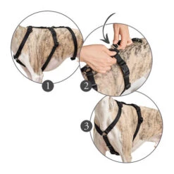 Hunter Vario Rapid Veiligheidsharnas -Honden Benodigdheden Winkel hunter vario rapid veiligheidsharnas zwart 169510 0500 none