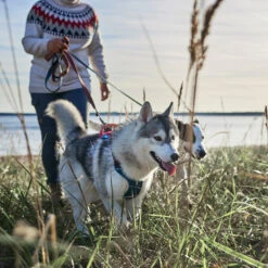 Hurtta - Weekend Warrior Winter Harnas - Bilberry -Honden Benodigdheden Winkel hurtta weekend warrior winter harnas bilberry 216605 1500 none