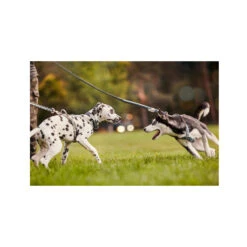 Hurtta Razzle Dazzle Y-Harness - Hedge -Honden Benodigdheden Winkel hurtta razzle dazzle harness hedge 185245 2000 none