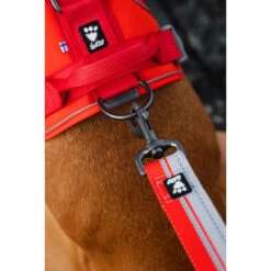 Hurtta Weekend Warrior Eco Harness -Honden Benodigdheden Winkel hurtta weekend warrior eco harness 189129 1000 none