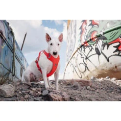 Hurtta Weekend Warrior Eco Harness -Honden Benodigdheden Winkel hurtta weekend warrior eco harness 189132 0500 none