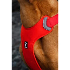 Hurtta Weekend Warrior Eco Harness -Honden Benodigdheden Winkel hurtta weekend warrior eco harness 189136 1000 none