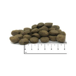 ICEPAW Polar Deer -Honden Benodigdheden Winkel icepaw polar deer 221040 1000 none