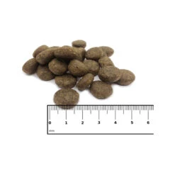 ICEPAW Scandic Duck 9 ICEPAW Scandic Duck -Honden Benodigdheden Winkel icepaw scandic duck 221035 1000 none