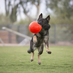 Jolly Soccer Ball -Honden Benodigdheden Winkel jolly soccer ball 162241 0500 none