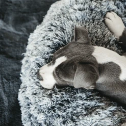 Kentucky Dogwear Comfort Donut Hondenmand -Honden Benodigdheden Winkel kentucky dogwear comfort donut hondenmand 219723 0500 none