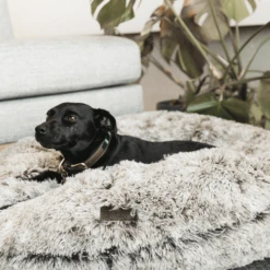 Kentucky Dogwear Comfort Donut Hondenmand -Honden Benodigdheden Winkel kentucky dogwear comfort donut hondenmand 219727 0500 none