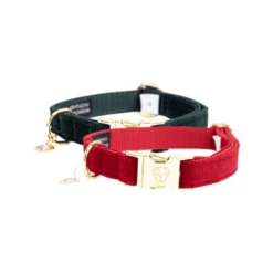 Kentucky Dogwear Corduroy Hondenhalsband -Honden Benodigdheden Winkel kentucky dogwear corduroy hondenhalsband 219197 0500 none
