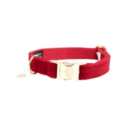 Kentucky Dogwear Corduroy Hondenhalsband -Honden Benodigdheden Winkel kentucky dogwear corduroy hondenhalsband 219198 0500 none