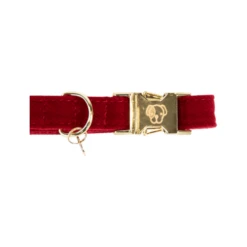 Kentucky Dogwear Corduroy Hondenhalsband -Honden Benodigdheden Winkel kentucky dogwear corduroy hondenhalsband 219199 0500 none