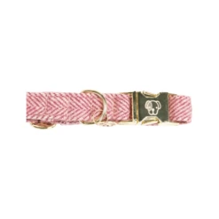 Kentucky Dogwear Hondenhalsband Wool -Honden Benodigdheden Winkel kentucky dogwear hondenhalsband wool 219709 0500 none