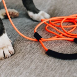 Kentucky Dogwear Sleeplijn Soft Rubber -Honden Benodigdheden Winkel kentucky dogwear sleeplijn soft rubber 219203 0500 none