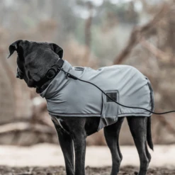 Kentucky Dogwear Soft Rubber Hondenhalsband -Honden Benodigdheden Winkel kentucky dogwear soft rubber hondenhalsband 219265 0500 none