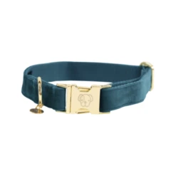 Kentucky Dogwear Velvet Hondenhalsband -Honden Benodigdheden Winkel kentucky dogwear velvet hondenhalsband 219231 0500 none
