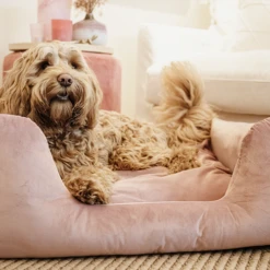 Kentucky Dogwear Velvet Hondenmand -Honden Benodigdheden Winkel kentucky dogwear velvet hondenmand 219658 0500 none