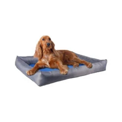 Flamingo Koelmand Fresk Rechthoek -Honden Benodigdheden Winkel koelmand fresk rechthoek 222645 1000 none