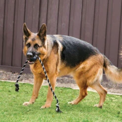 KONG Extreme Bal Met Touw -Honden Benodigdheden Winkel kong extreme bal met touw 181816 1000 none