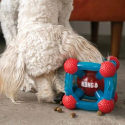 KONG Rewards Tinker -Honden Benodigdheden Winkel kong rewards tinker 222345 1000 none