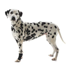 Kruuse Rehab Polsbeschermer -Honden Benodigdheden Winkel kruuse rehab polsbeschermer 142328 1000 none