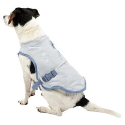 Kurgo Core Cooling Vest -Honden Benodigdheden Winkel kurgo core cooling vest 222803 0500 none