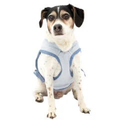 Kurgo Core Cooling Vest -Honden Benodigdheden Winkel kurgo core cooling vest 222804 0500 none