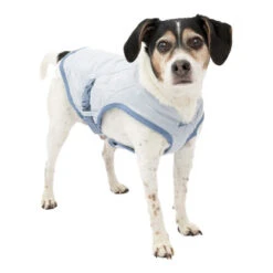 Kurgo Core Cooling Vest -Honden Benodigdheden Winkel kurgo core cooling vest 222805 0500 none