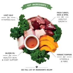 Lily's Kitchen Puppy - Blik - Kalkoen, Eend En Boerenkool -Honden Benodigdheden Winkel lilys kitchen puppy kalkoen eend en boerenkool 202271 1000 none