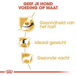 Royal Canin Cavalier King Charles Adult - Hondenvoer 13 Royal Canin Cavalier King Charles Adult - Hondenvoer -Honden Benodigdheden Winkel m17vF34IMd6faEs4mRthqSVeV8N2qC metaUm95YWwtQ2FuaW4tQ2F2YWxpZXItS2luZy1DaGFybGVzLUFkdWx0XzA0LmpwZw