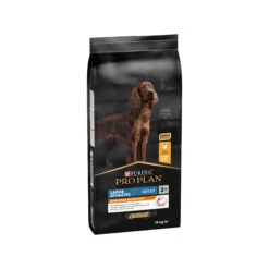 Purina Pro Plan Dog Adult - Large Breed -Honden Benodigdheden Winkel mEUrge4fHIxg27cctEiORoYG7pxqY2 metaUHVyaW5hLVByby1QbGFuLUxhcmdlLUF0aGxldGljLUV2ZXJ5ZGF5LU51dHJpdGlvbi5qcGc