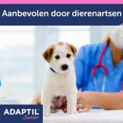 Adaptil Halsband - Junior -Honden Benodigdheden Winkel mJFw8nM1rQt3l7IXQDJPIHbZkc7TM7 metaQWRhcHRpbC1KdW5pb3ItY29sbGFyLUNhcm91c3NlbC05LmpwZw