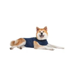Medical Pet Shirt Hond -Honden Benodigdheden Winkel medical pet shirt hond 167410 1000 none