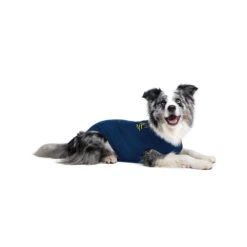 Medical Pet Shirt Hond -Honden Benodigdheden Winkel medical pet shirt hond 167416 1000 none