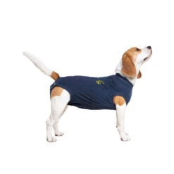 Medical Pet Shirt Hond -Honden Benodigdheden Winkel medical pet shirt hond 167419 1000 none