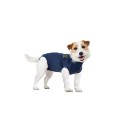 Medical Pet Shirt Hond -Honden Benodigdheden Winkel medical pet shirt hond 167422 1000 none