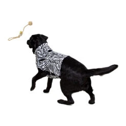 Medical Pet Top Shirt - Zebraprint -Honden Benodigdheden Winkel medical pet top shirt zebraprint 150701 1000 none