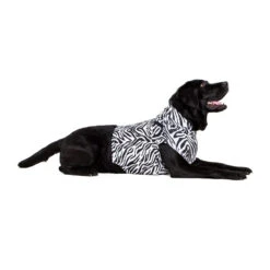 Medical Pet Top Shirt - Zebraprint -Honden Benodigdheden Winkel medical pet top shirt zebraprint 150704 1000 none