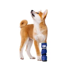 Medical Pet Shirt Boot -Honden Benodigdheden Winkel medical pets boot 167479 1000 none