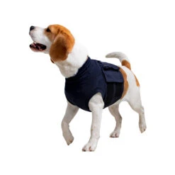 MPS-TOP Shirt 4 In 1 -Honden Benodigdheden Winkel mps top shirt 4 in 1 149909 2000 none