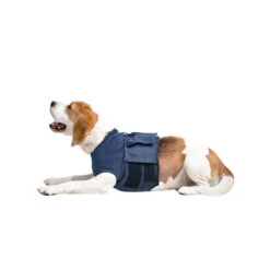 MPS-TOP Shirt 4 In 1 -Honden Benodigdheden Winkel mps top shirt 4 in 1 167452 1000 none