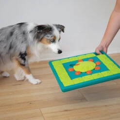 Nina Ottosson MultiPuzzle -Honden Benodigdheden Winkel nina ottosson multipuzzle 179588 2000 none
