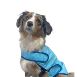 Nobby Cooling Vest -Honden Benodigdheden Winkel nobby cooling vest 222498 1000 none