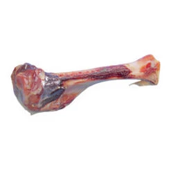 Nobby Parmabeen 19 Nobby Parmabeen -Honden Benodigdheden Winkel nobby parmabeen 130625 0500 none